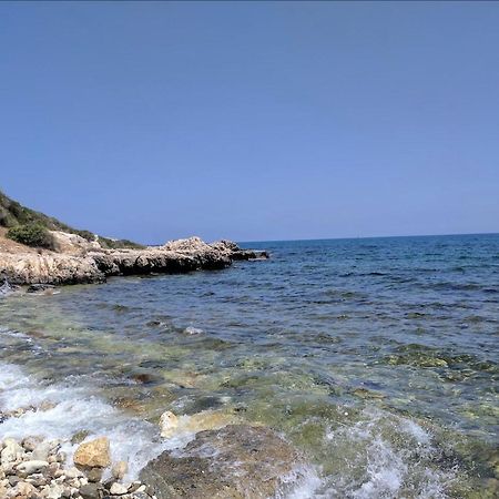 Villa Chrysanthemum نيو تشوريو المظهر الخارجي الصورة