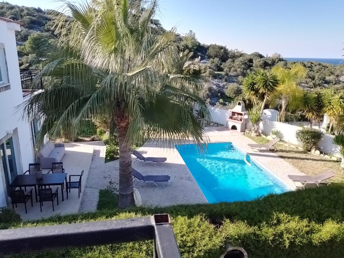 Villa Chrysanthemum نيو تشوريو المظهر الخارجي الصورة