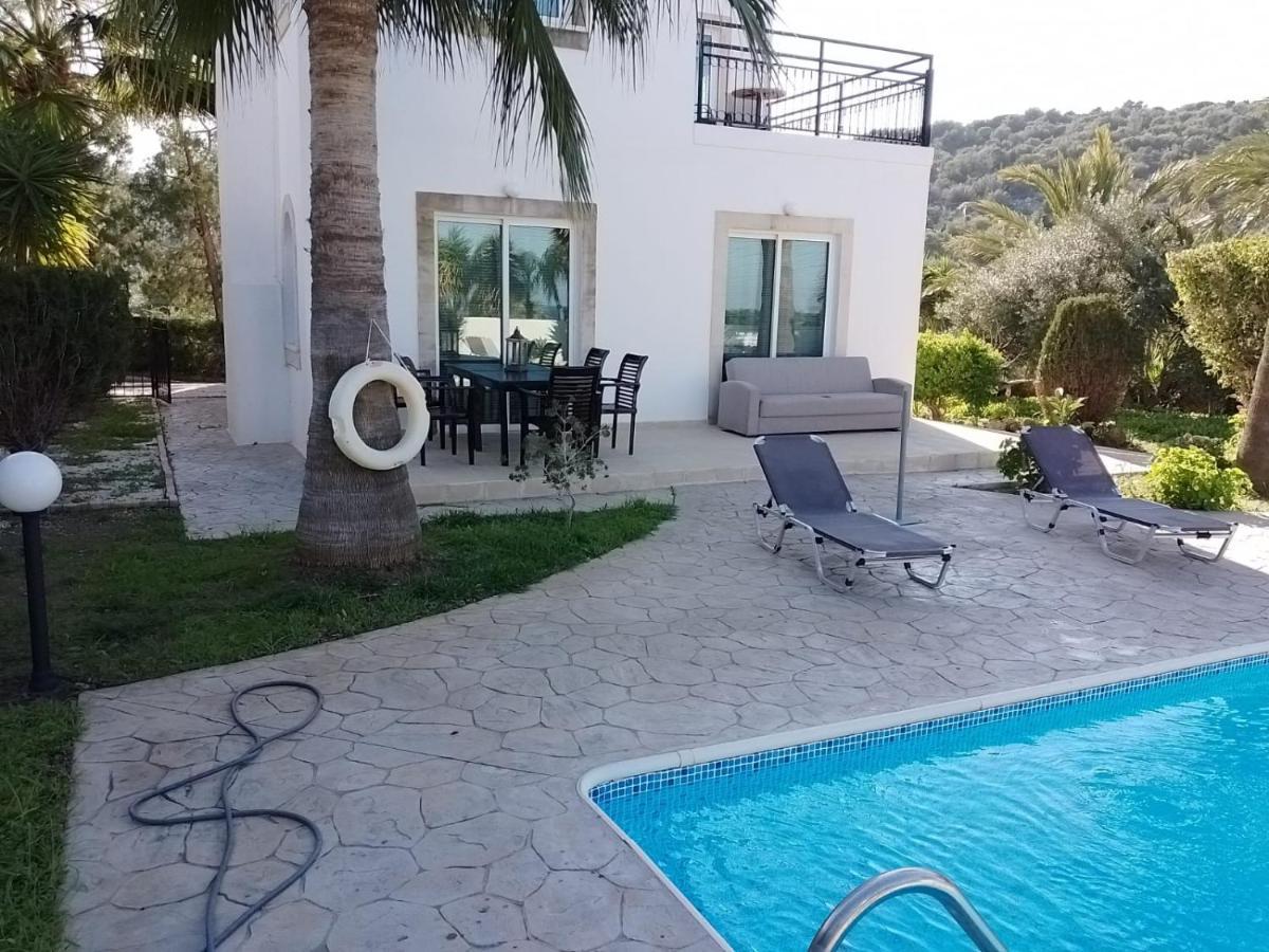 Villa Chrysanthemum نيو تشوريو المظهر الخارجي الصورة