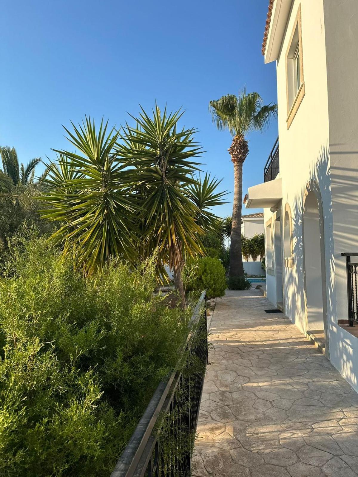 Villa Chrysanthemum نيو تشوريو المظهر الخارجي الصورة