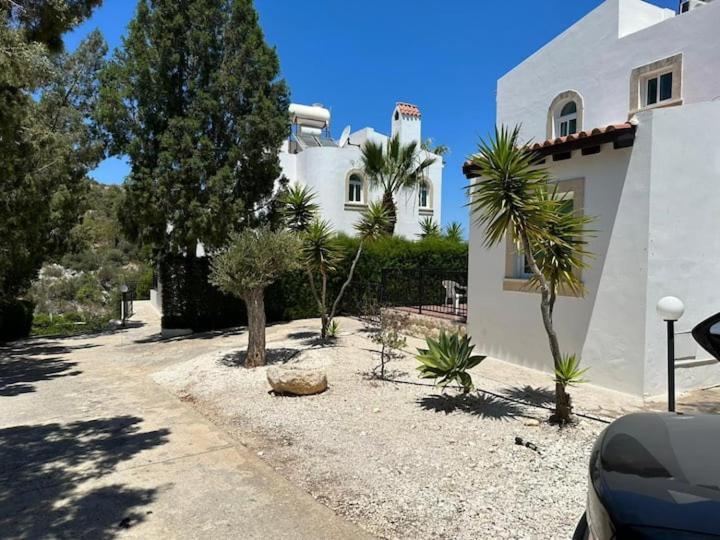 Villa Chrysanthemum نيو تشوريو المظهر الخارجي الصورة